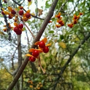 Meet your Posher, Katelin